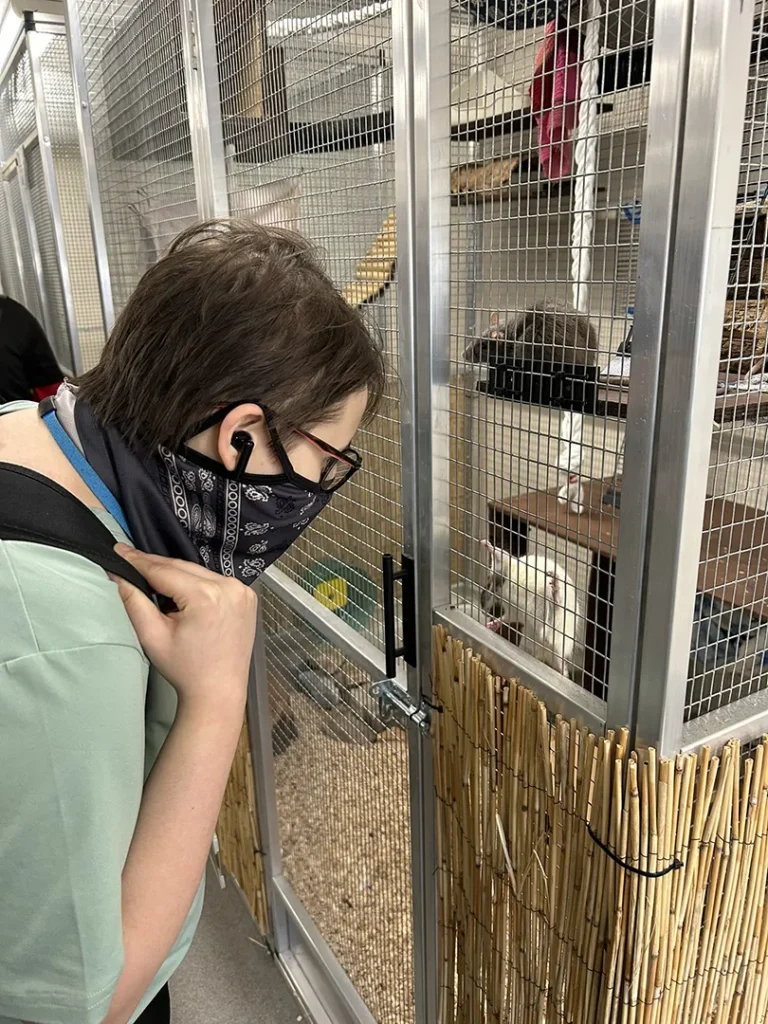 capel manor newhaven school