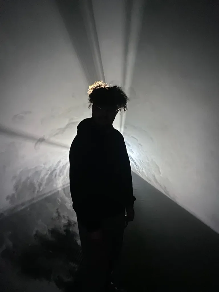 king's park tate modern