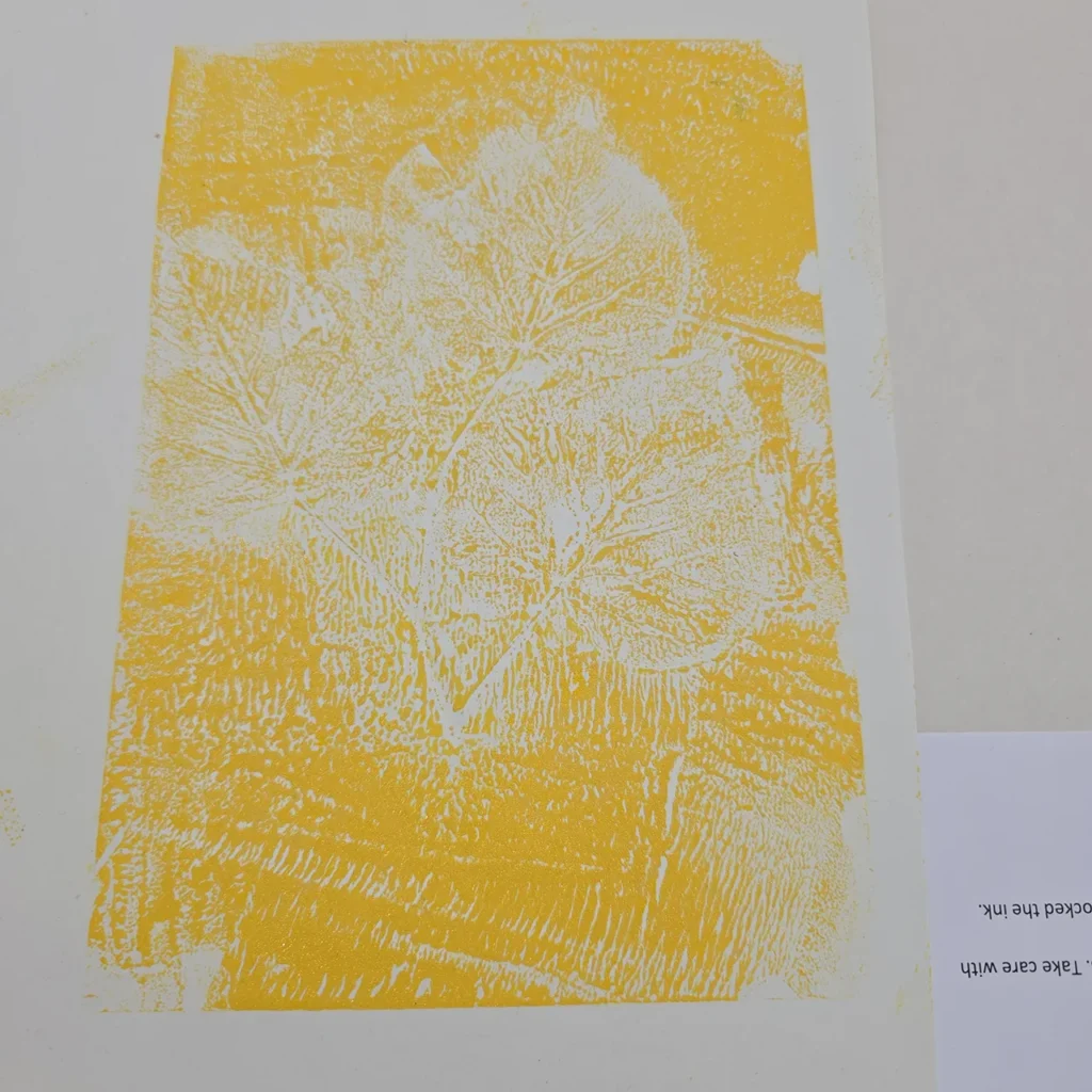 gerald moore art gallery trip newhaven school