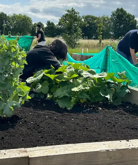 newhaven school june 2025 work experience
