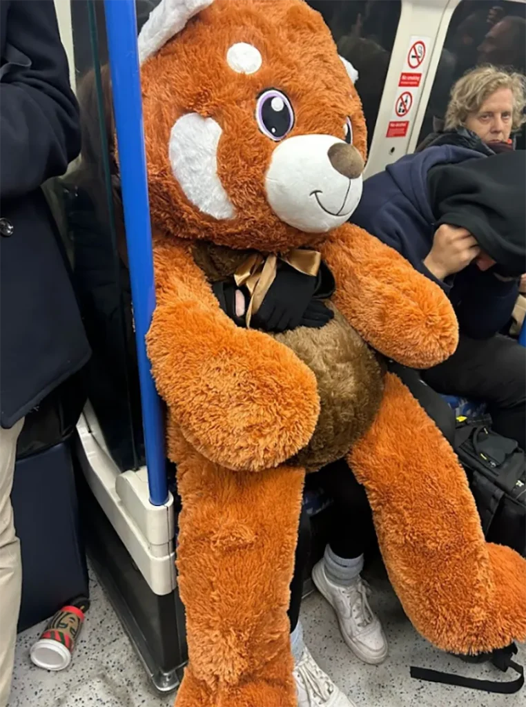 winter-wishes-2025-newhaven-school-